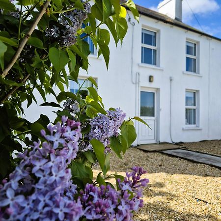 The Alpaca Farmhouse With Hot Tub And Alpaca Experience Included Dromara Exterior photo