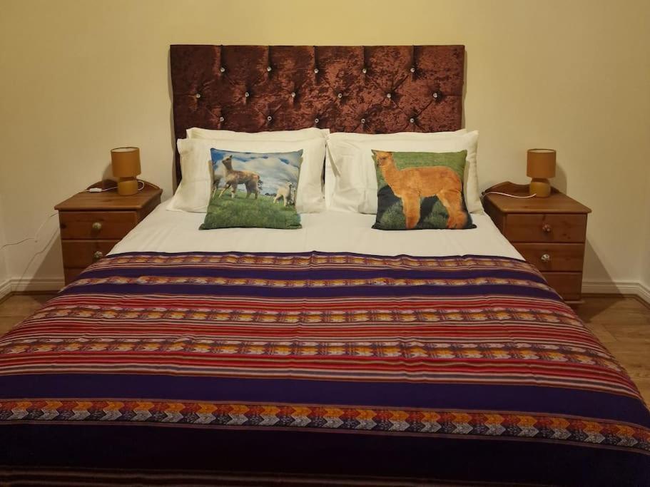 The Alpaca Farmhouse With Hot Tub And Alpaca Experience Included Dromara Exterior photo